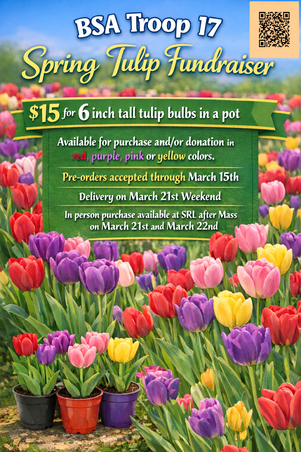 Tulip sale 2026